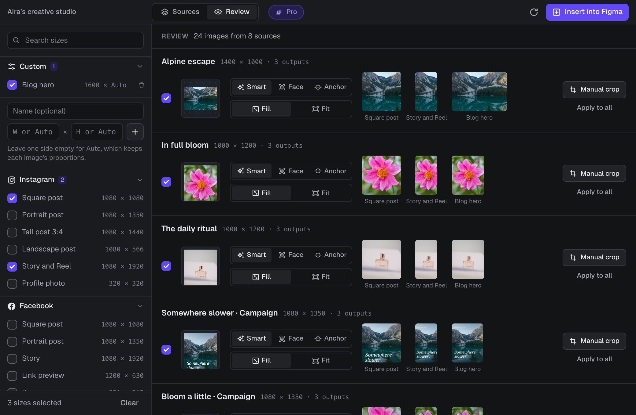 The Review tab listing each source with focus and scale controls and a strip of crop previews.